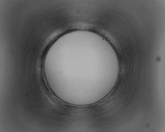 X0000096690679200802051038