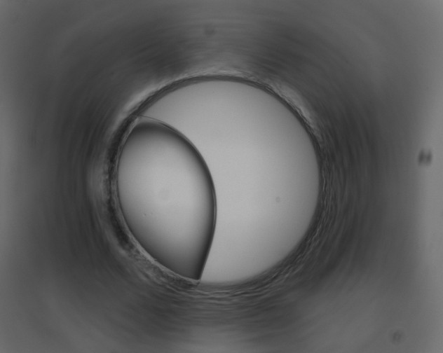 X0000096690680200802051038