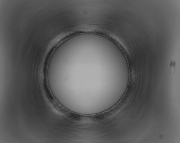 X0000096690682200802051038