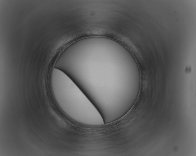 X0000096690683200802051038