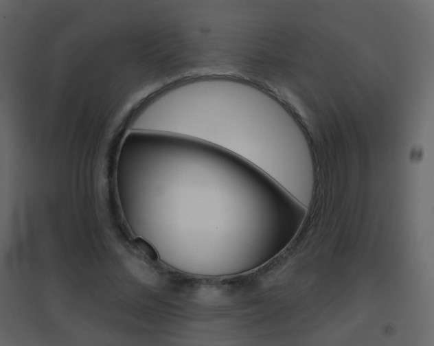 X0000096690684200802051038