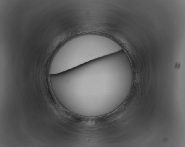 X0000096690687200802051038
