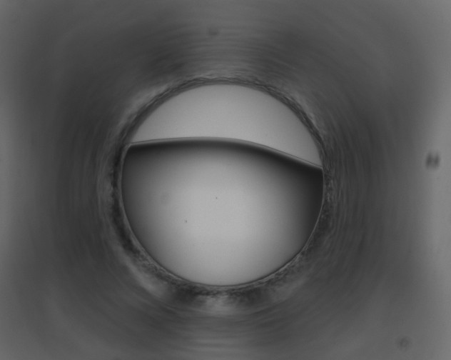 X0000096690688200802051038