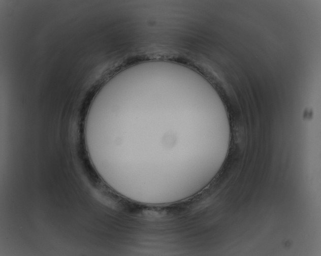 X0000096690690200802051038