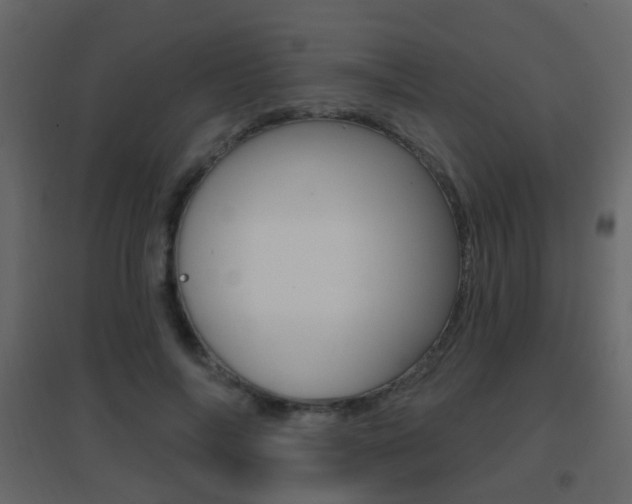 X0000096690694200802051037