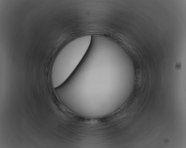 X0000096690695200802051037
