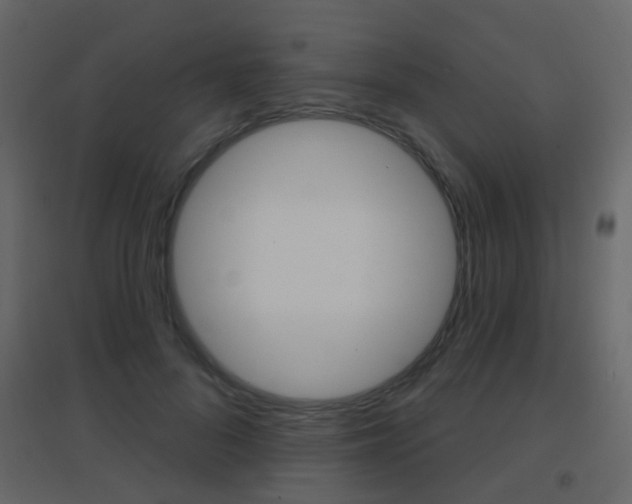 X0000096690696200802051037