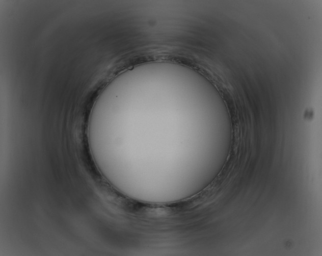 X0000096690698200802051037