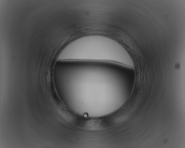 X0000096690700200802051037