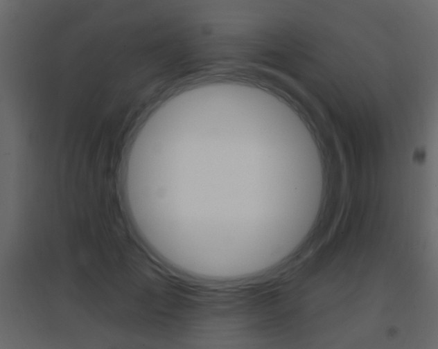 X0000096690701200802051037
