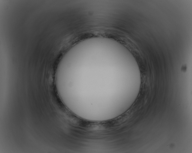 X0000096690702200802051037