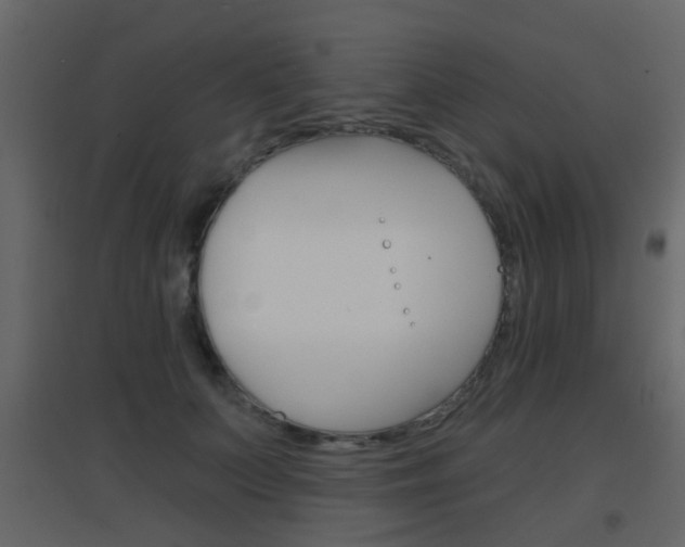 X0000096690703200802051037