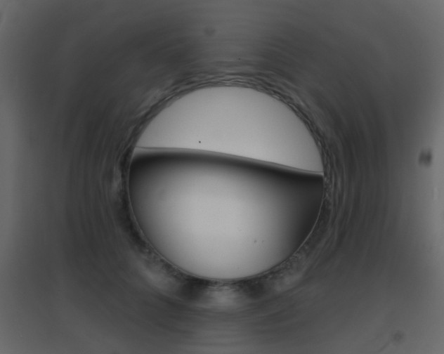 X0000096690704200802051037