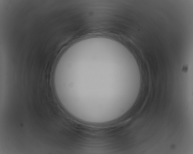 X0000096690705200802051037