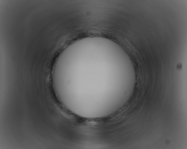 X0000096690706200802051037