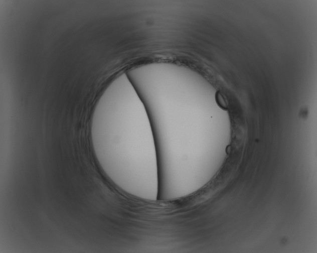 X0000096690707200802051037