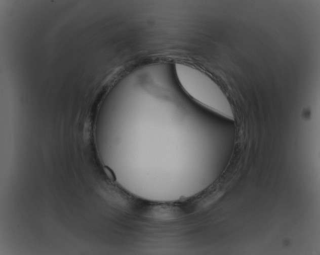 X0000096690708200802051037