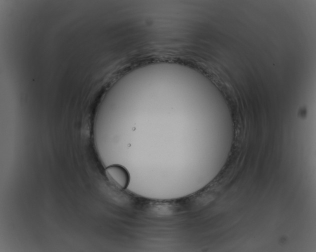 X0000096690710200802051037