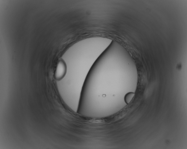 X0000096690711200802051037