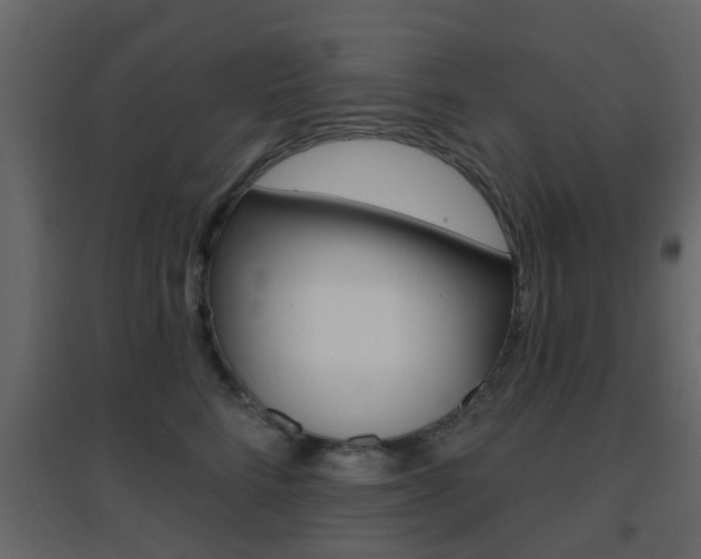 X0000096690712200802051037