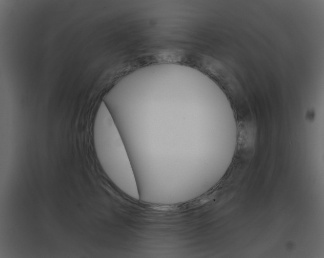 X0000096690713200802051037