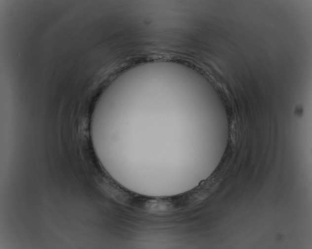 X0000096690714200802051037