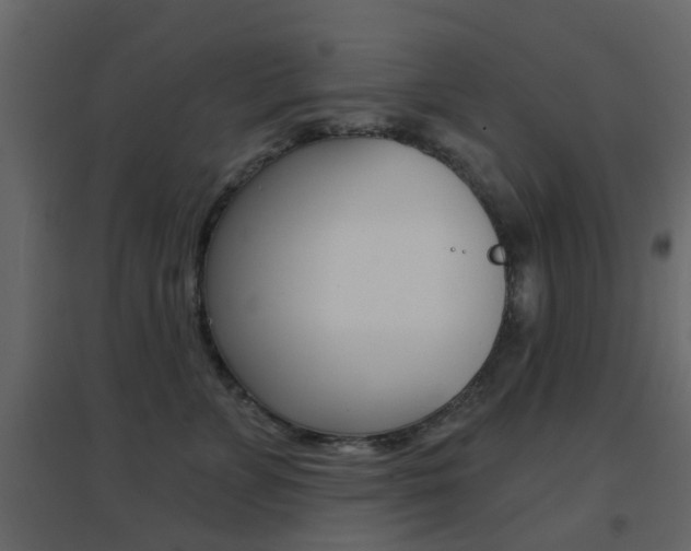 X0000096690715200802051037