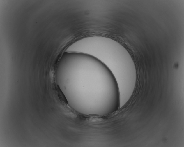 X0000096690716200802051037