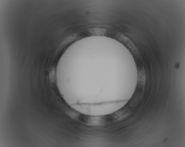 X0000096690717200802051037