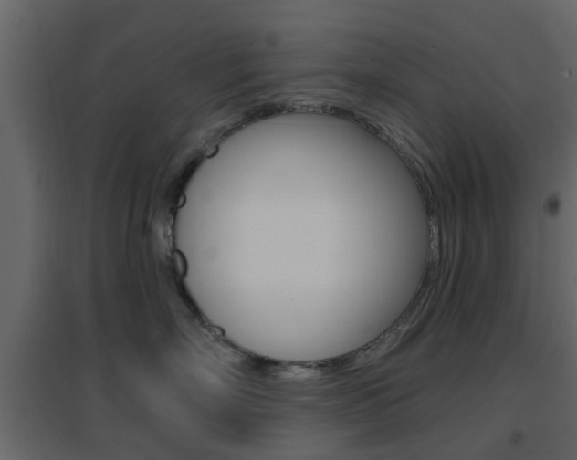 X0000096690718200802051037