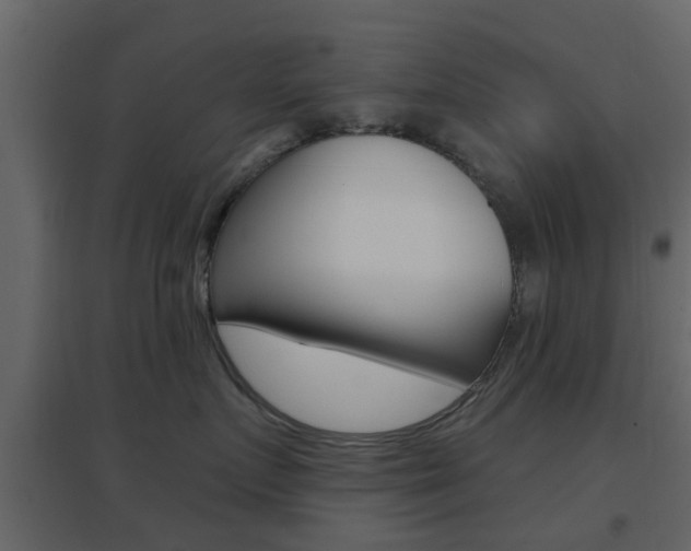 X0000096690719200802051037