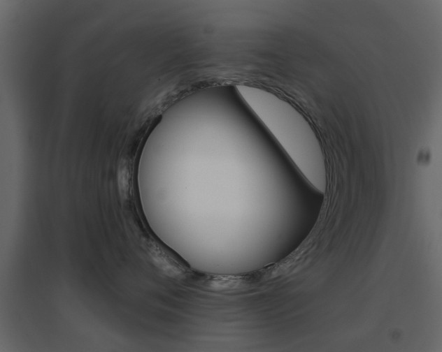 X0000096690720200802051037