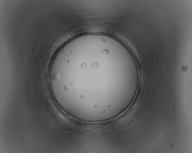 X0000096690721200802051036