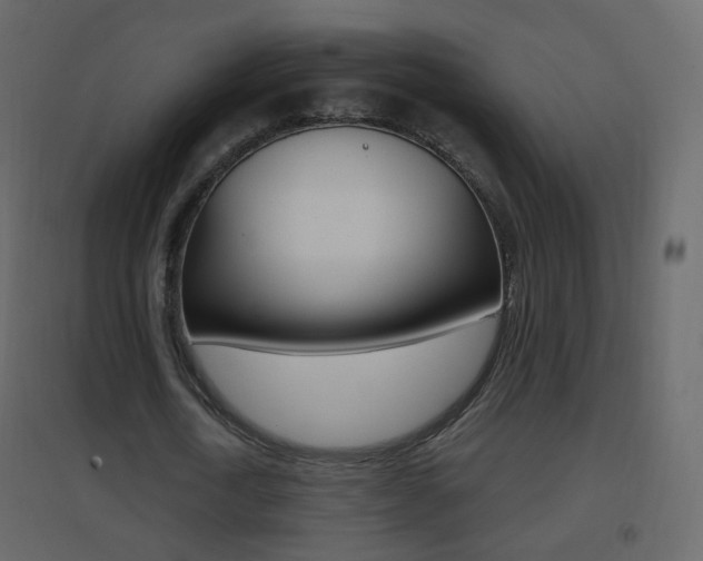 X0000096690722200802051036