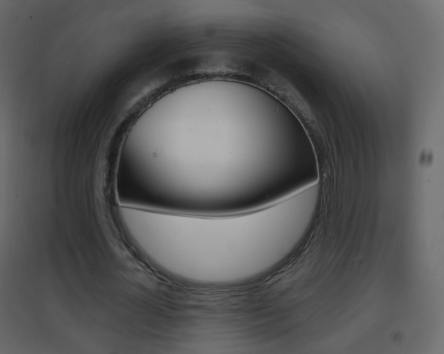 X0000096690724200802051036