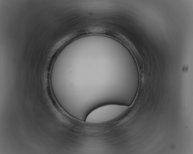 X0000096690725200802051036