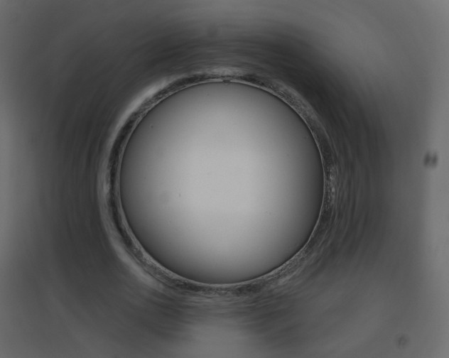 X0000096690726200802051036