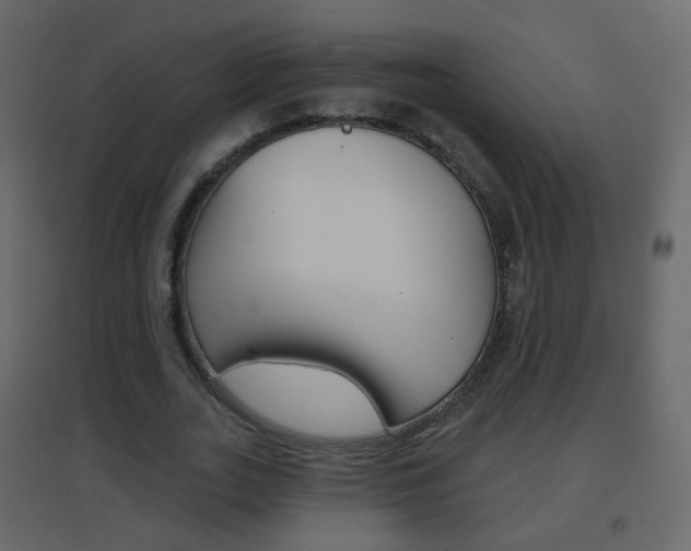 X0000096690727200802051036