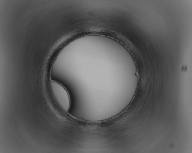 X0000096690728200802051036