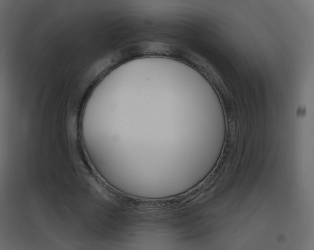 X0000096690729200802051036