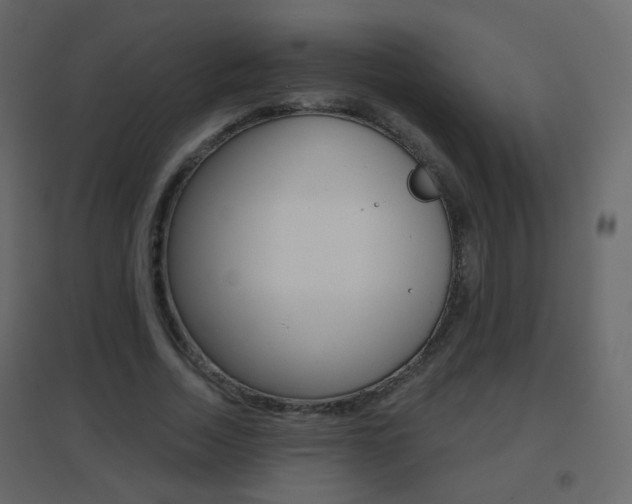 X0000096690730200802051036