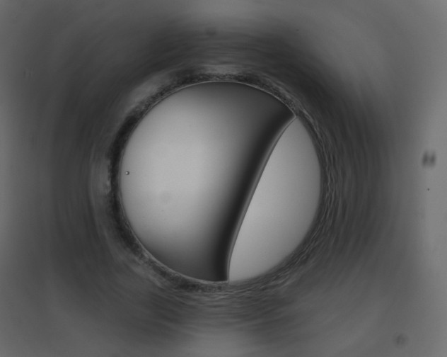 X0000096690731200802051036
