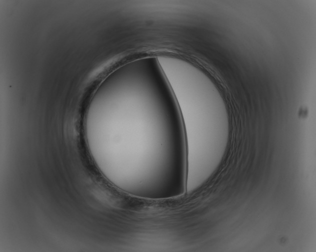 X0000096690732200802051036