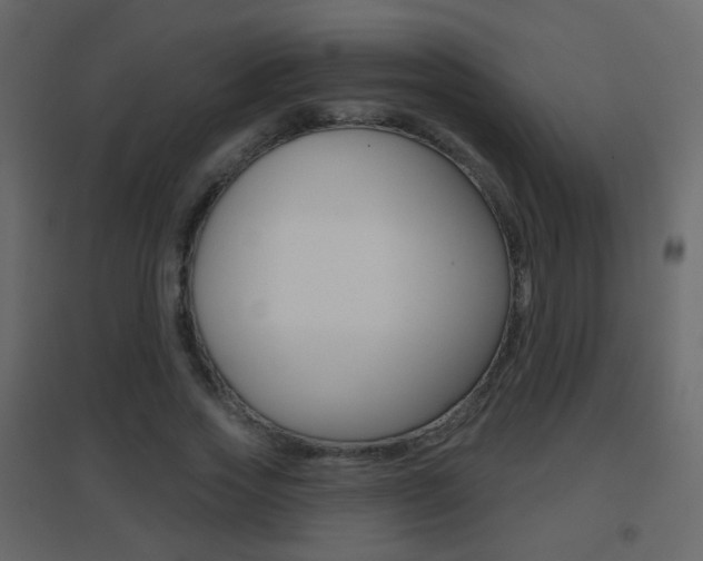 X0000096690733200802051036