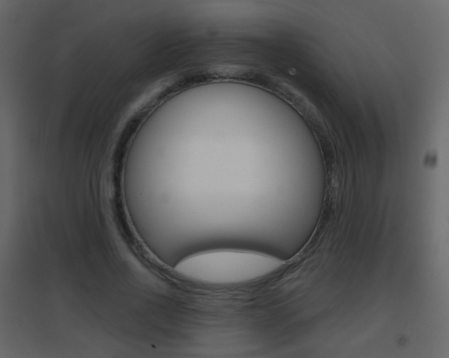 X0000096690734200802051036