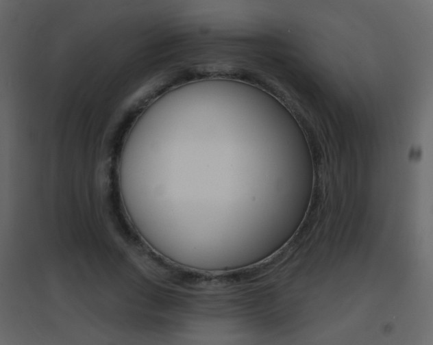 X0000096690735200802051036