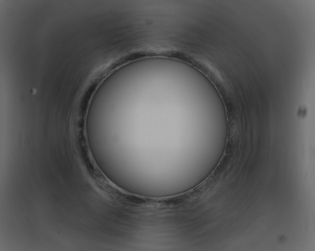 X0000096690736200802051036