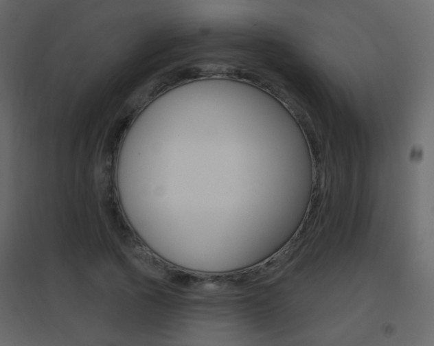 X0000096690737200802051036