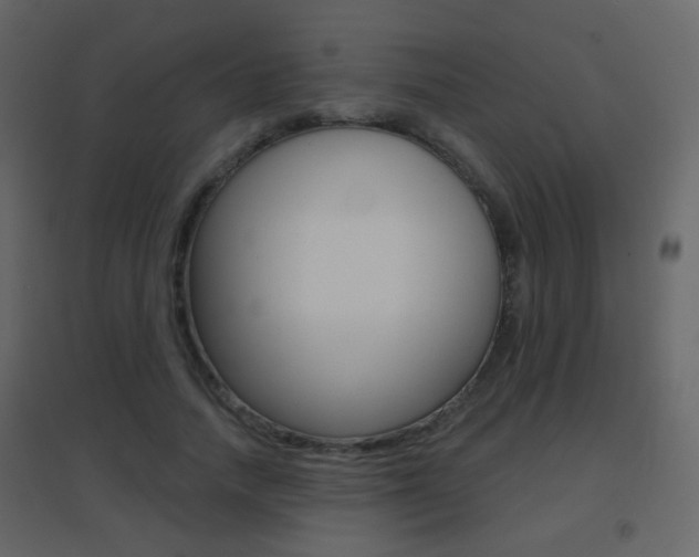 X0000096690738200802051037