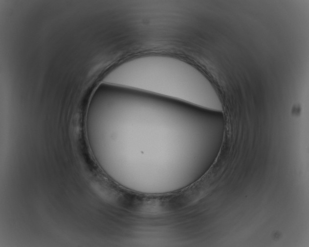 X0000096690740200802051037